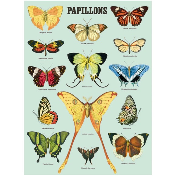 🦋 Cavallini & Co. Papillons Butterflies Luxury Vintage Image Poster - NWT - Picture 1 of 5